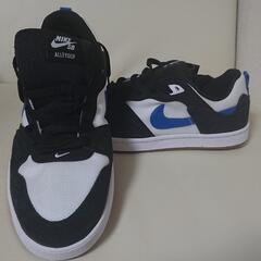 新品！未使用品‼️ナイキ SB アリウープ
NIKE SB ALLEYOOPの画像