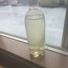 オオミジンコ水　500ml ③