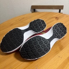 NO.33[使用わずか]ミズノ安全靴27.0の画像