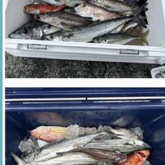 レンタルボートで釣り