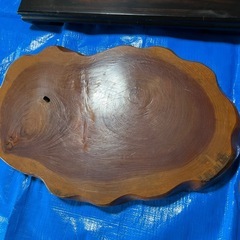 bonsaisaite_w017506