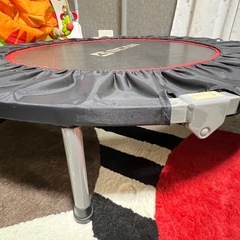 BCAN トランポリン手すり付き102cm 耐荷重150kgの画像