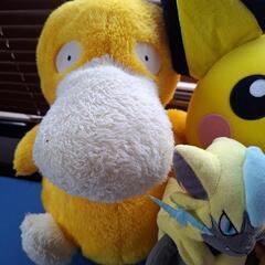 ポケモンぬいぐるみセットの画像