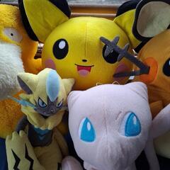 ポケモンぬいぐるみセットの画像