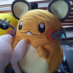 ポケモンぬいぐるみセットの画像