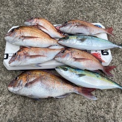 釣り友募集