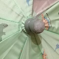 傘 40cm 恐竜の画像