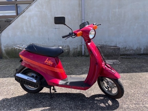 【中古】 れんげ　たんぽぽ/新風舎/三和泉 厳選和金入荷！ 2月10日 | 名古屋のペットショップRemix