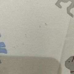 傘 40cm 恐竜の画像