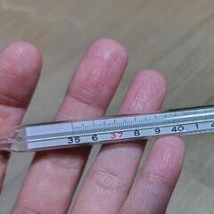 仁丹平型体温計の画像