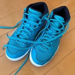 アシックス　ダンクショット　バスケ　22.5