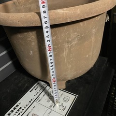 無料)大きめの植木鉢の画像