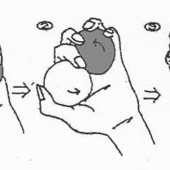 健身球の画像