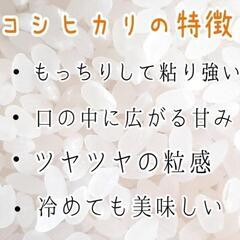 福島県産米(コシヒカリ)の画像