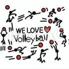⭐福山でバレーやります🏐【次回開催6/8・14】 - 福山市