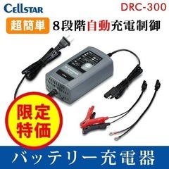 バイク自動車バッテリー充電器の画像
