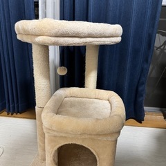 キャットタワー