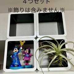 ディスプレイラック