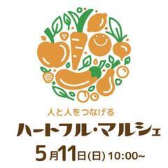 メダカ販売