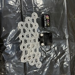 サンゴ、フラグラックの画像