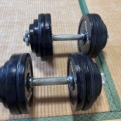 【手渡し限定】FIGHTING LOAD ダンベル60kg (片...