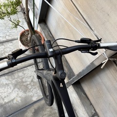 TREK FX Sport 4 グレー Lサイズ 2024年モデルの画像