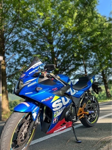 gsx250r suzuki スズキトリトンブルーメタリックカスタム多数 (のの