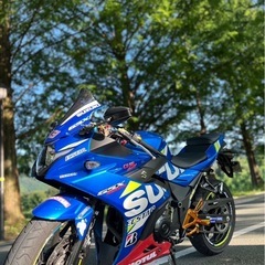 gsx250r suzuki スズキ　トリトンブルーメタリック　カスタム多数の画像