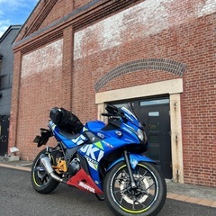 gsx250r suzuki スズキ　トリトンブルーメタリック　カスタム多数の画像