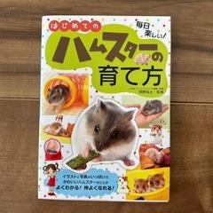 ハムスターの育て方　本