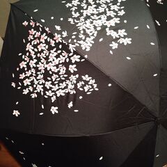 晴雨兼用傘の画像