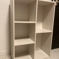 無料　あげます