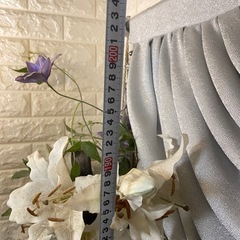花(1)の画像