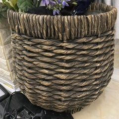 花(1)の画像