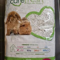 新品 carefresh 小動物用敷材 10L + PetPro 万能手袋 50枚入 小動物用品まとめ売りの画像