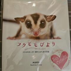 フクロモモンガ 本 フクモモびより おまけ付き 米田将文著