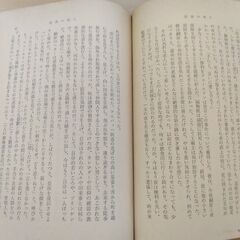 『流浪の果て』ヘッセ　新潮文庫の画像