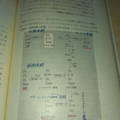 『細胞の生理化学　現代生物学入門２』マッケルロイ　岩波書店の画像