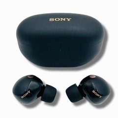 ソニー SONY イヤホン WF-1000XM5の画像