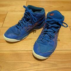 アシックス asics バスケットボールシューズ ダンクショット...