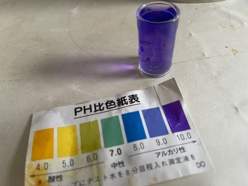 日本エナジック・レベラック DX ・電解還元水生成器
