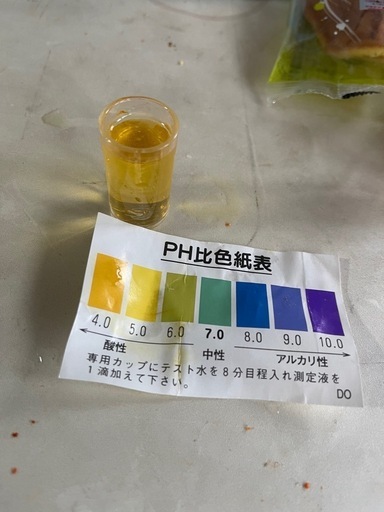 日本エナジック・レベラック DX ・電解還元水生成器