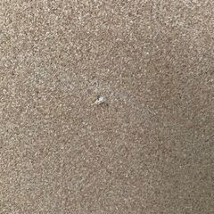 ◆両面 コルクボード（木製）約40×59.5 の画像