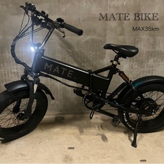 MATE X 250 リミッター解除済 MAX35km 日本未販売