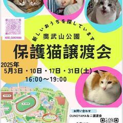 保護猫😺  譲渡会