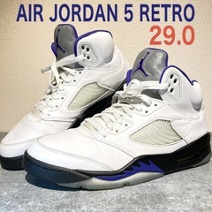 NIKE AIR JORDAN 5 RETRO ダークコンコルド...