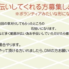 畑の準備のお手伝いお願いします🙇‍♀️