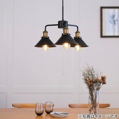 ペンダントライト値下げ交渉可の画像