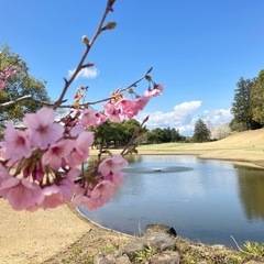 平日ゴルフ行きましょう！（ゴルとも募集）栃木茨城埼玉方面