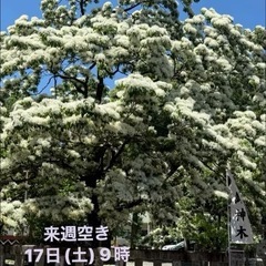 土日も不定期でやってます💖